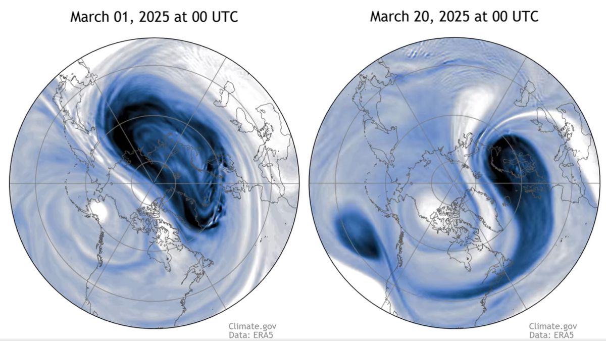 La ‘interrupción importante’ ha causado que el vórtice polar del Ártico se deslice del Polo Norte, dicen los científicos