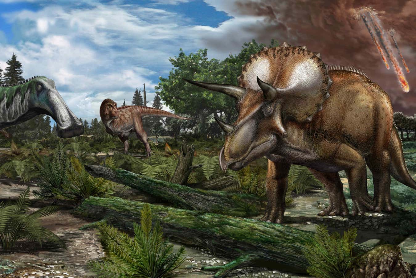 La aparente disminución de los dinosaurios antes del asteroide debido a los malos registros fósiles