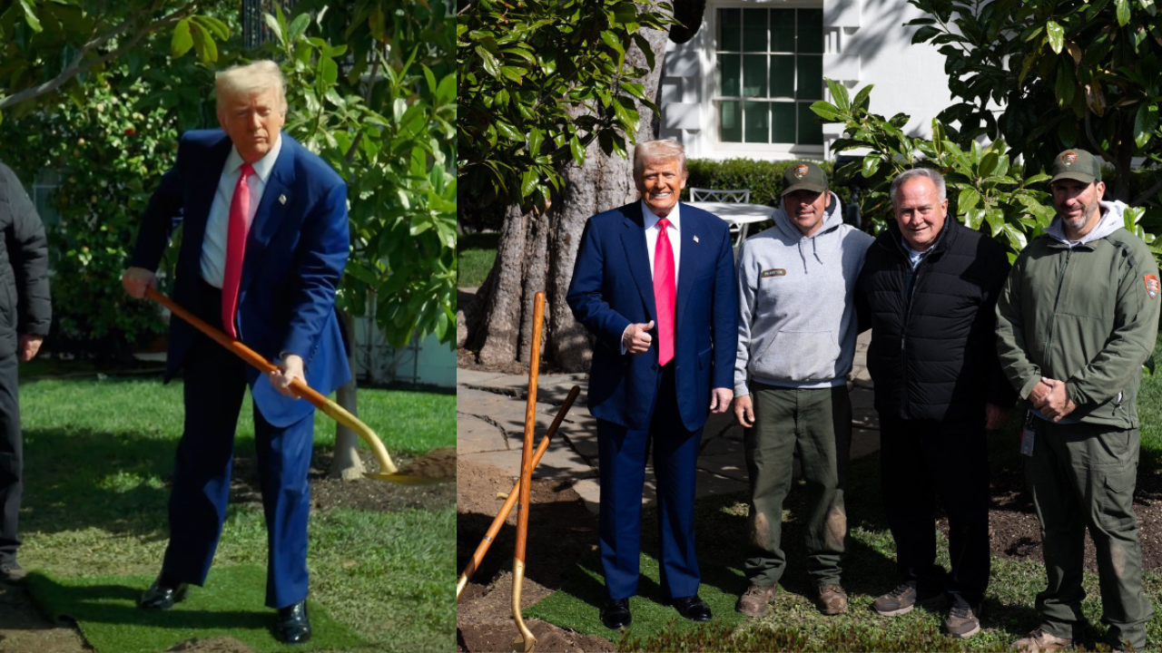 ¡GRACIOSO! Trolls Libs de la Casa Blanca, Nombres de reemplazo de Jackson Magnolia de 200 años “Maganolia” como plantas de Trump taping en la Casa Blanca | El experto de la puerta de entrada