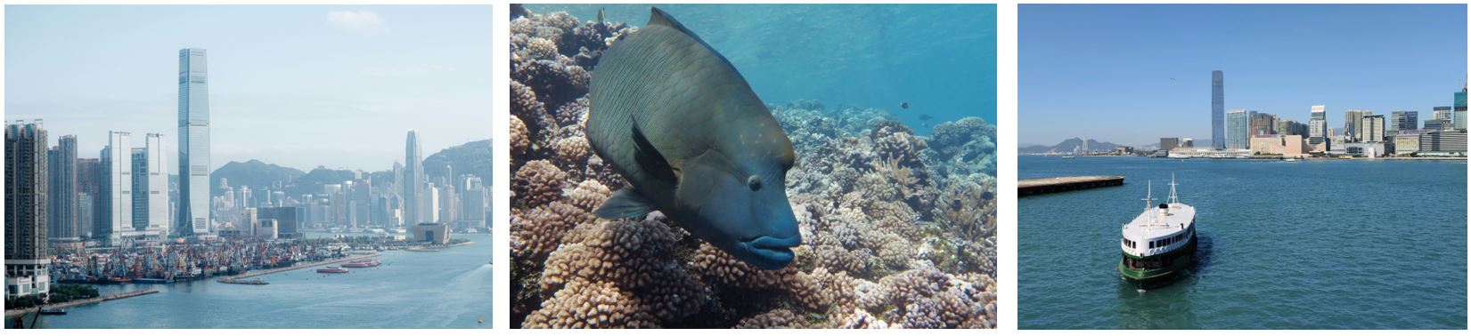 Hong Kong en Maritime Crossroads: Nuevos estudios revelan oportunidades sin precedentes para iniciar la economía azul
