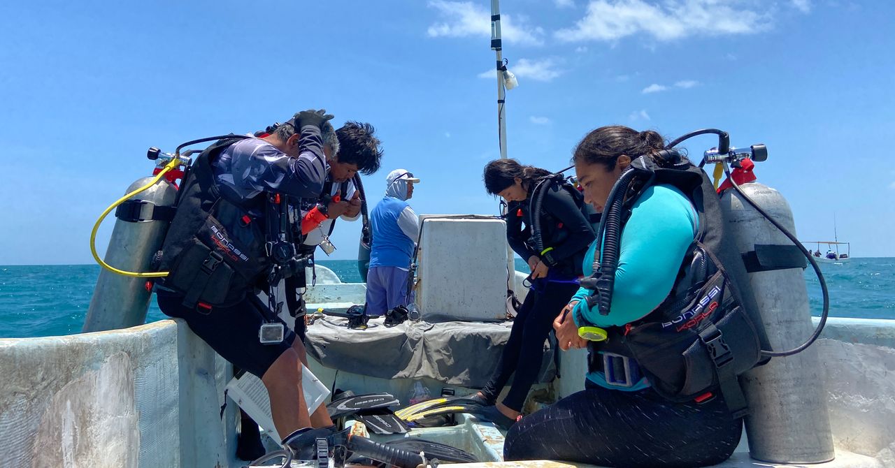 Cómo los refugios de pesca de México están luchando contra la caza furtiva