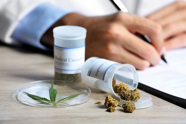 Explorar los usos médicos, los beneficios para la salud y los posibles efectos secundarios del cannabis