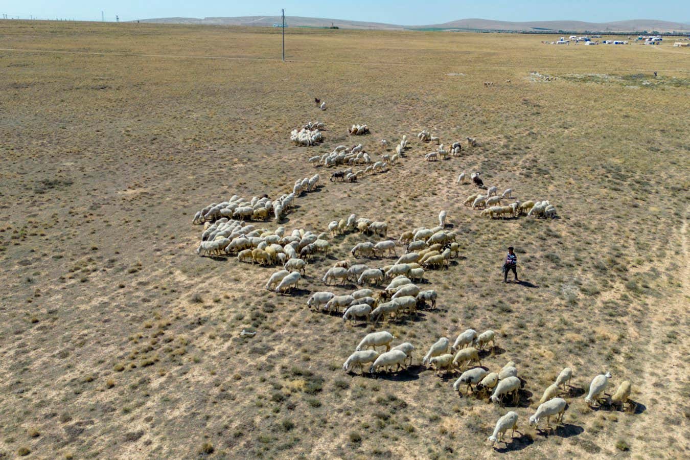 Las desastrosas ondas de calor y las sequías en Eurasia
