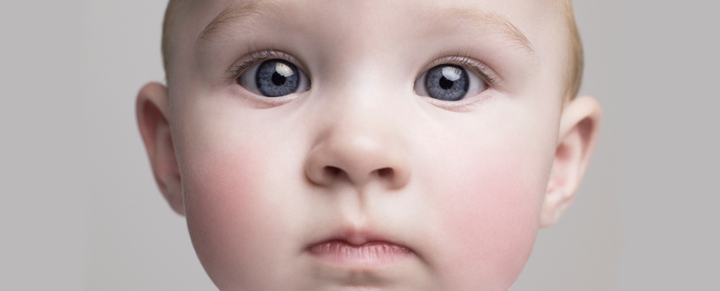 Las raíces de la demencia rastrean hasta la infancia, dicen los expertos: Sciencealert