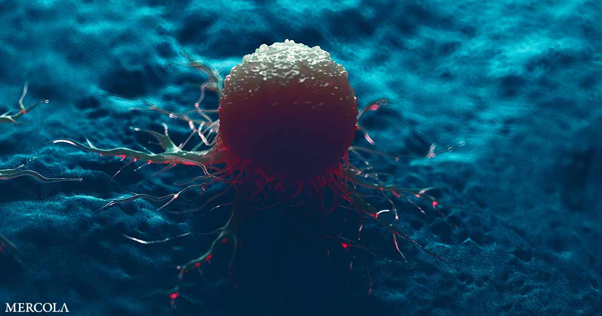 El sistema inmunitario es la defensa de su cuerpo contra el cáncer