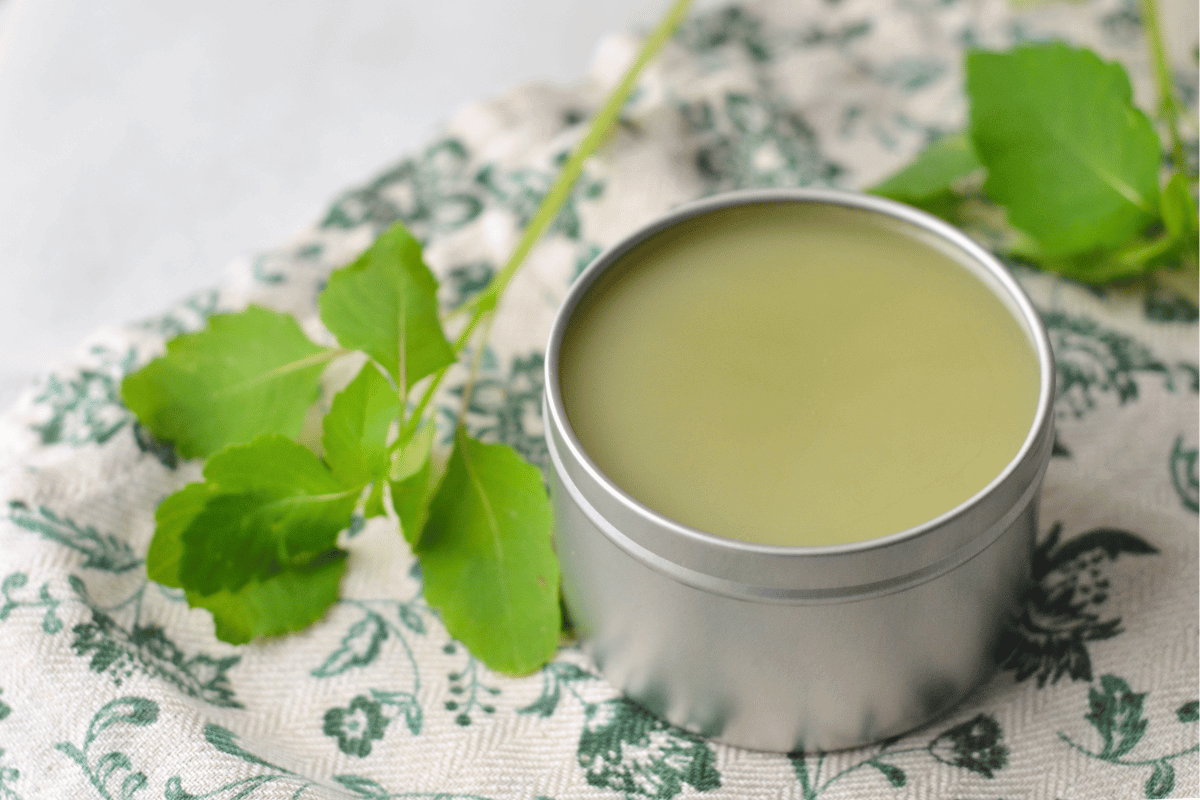 Diy Jewelweed Salve para hiedra venenosa (¡y más!)