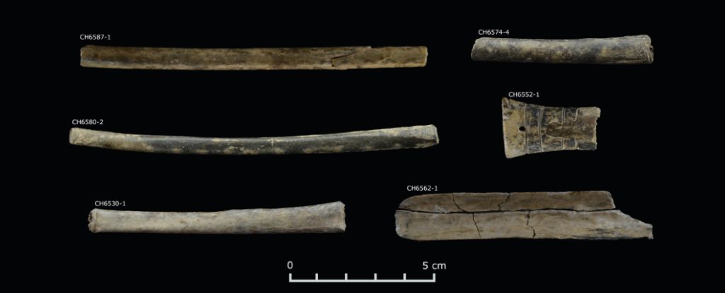 La evidencia más antigua de psicodélicos en los Andes es anterior a Inca: Sciencealert