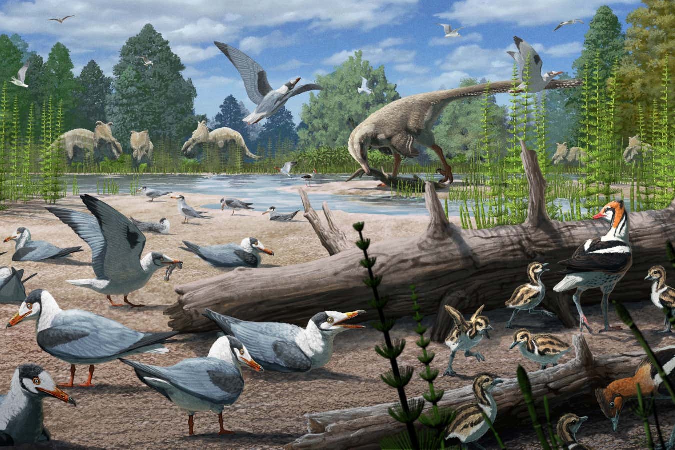 Primera evidencia de pájaros antiguos anidando sobre el círculo ártico
