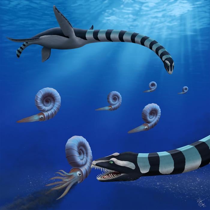 Antiguo misterio del monstruo marino resuelto después de 37 años