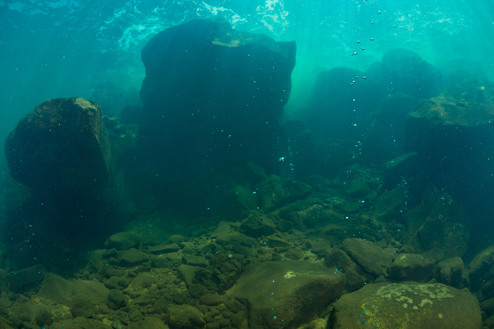 El volcán axial submarino aún podría estallar en 2025, y beneficiar la vida marina