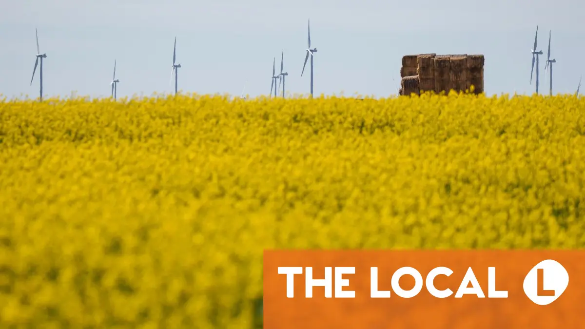 ‘Más días’ necesarios para identificar el origen del apagón de España: Gobierno