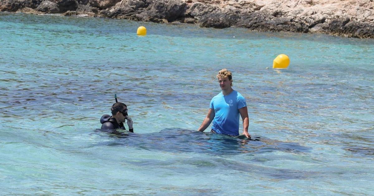 La manta de la playa de Illetes ha muerto