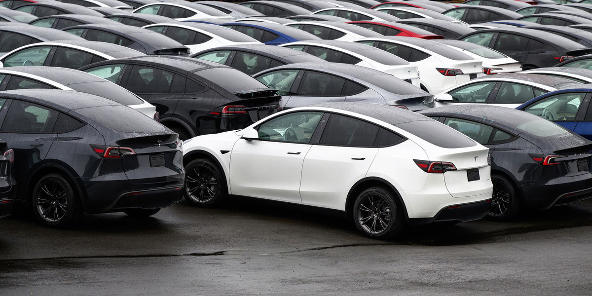 La reacción violenta de los europeos contra Tesla continúa, las ventas caen quinto mes consecutivo «Euro Weekly News