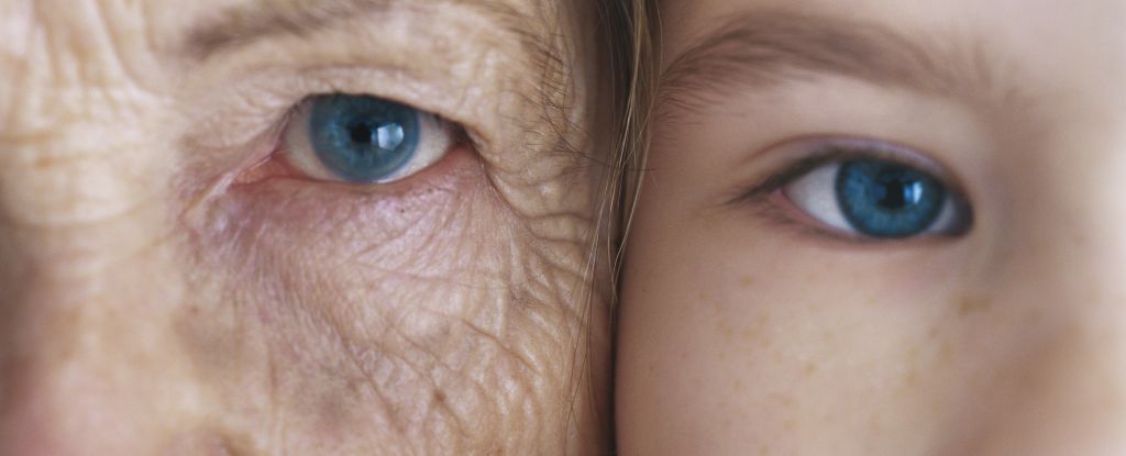 Los humanos envejecen más rápido a las 2 veces específicas en su vida, el estudio encuentra: Sciencealert