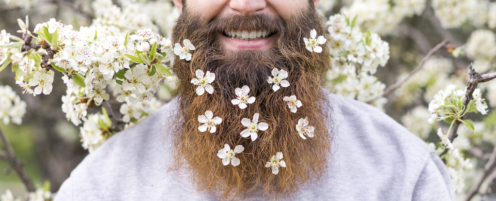 ¿Qué tan sucias están las barbas? Aquí está la ciencia. : Sciencealert