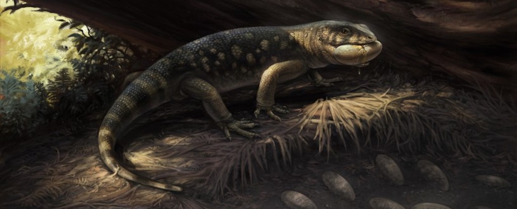 Los científicos descubren ‘Goblin Prince’ que deambuló con los dinosaurios: Sciencealert
