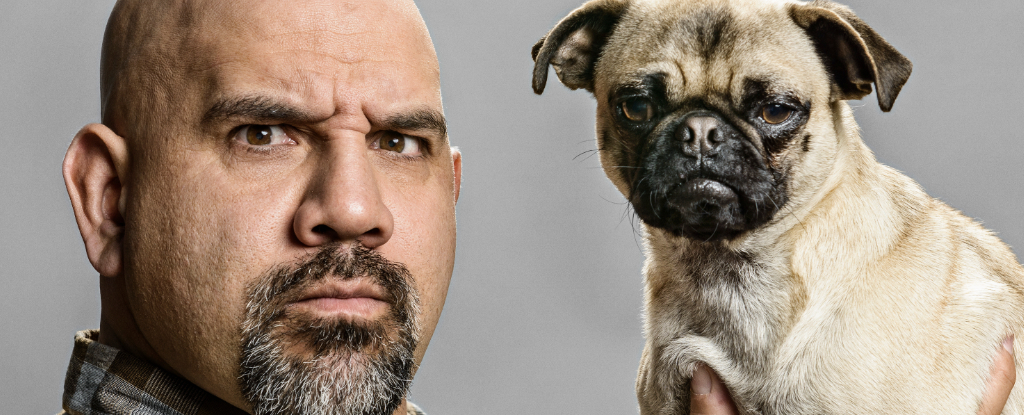 La gente realmente tiende a parecerse a sus perros: Sciencealert