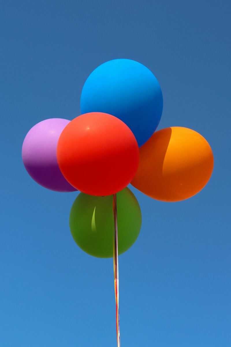 Por qué los globos son peligrosos para las mascotas y la vida silvestre