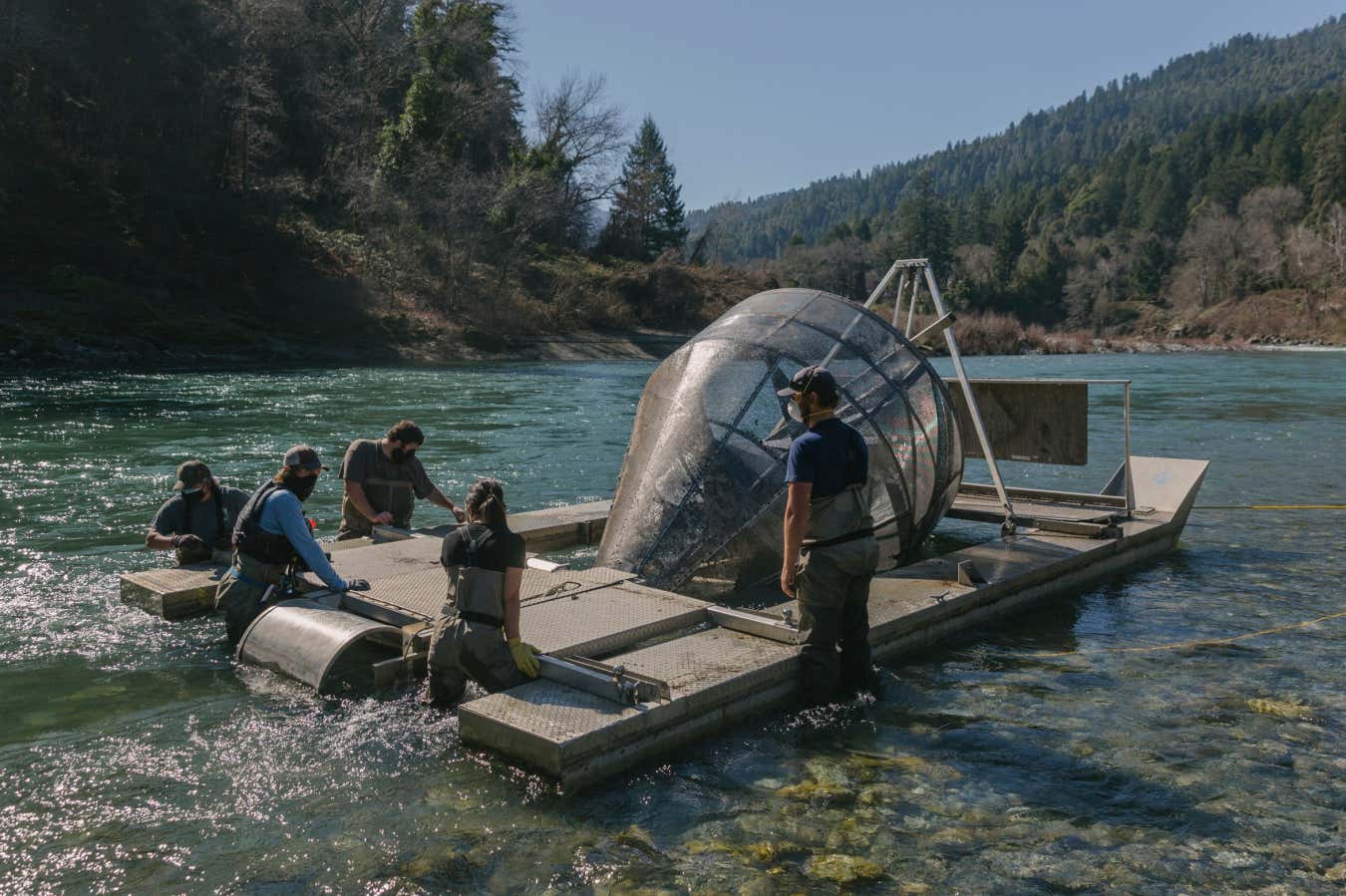 Fish Rescue gana el premio a los nuevos editores científicos en Earth Photo 2025