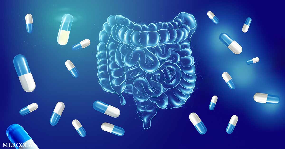 Incluso los períodos cortos de uso de antibióticos afectan la salud intestinal a largo plazo
