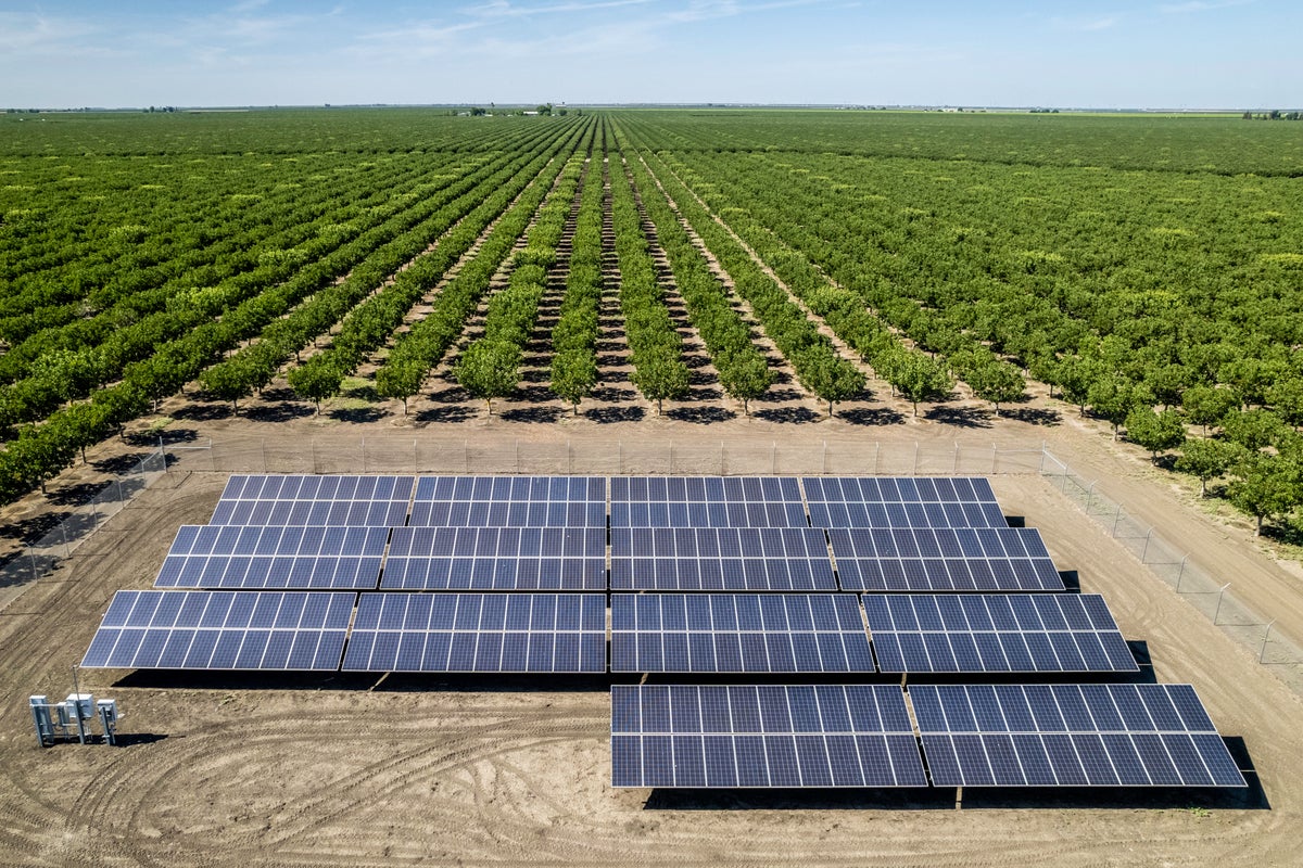 La energía eólica y solar es más barata que la electricidad de las plantas de combustible fósil