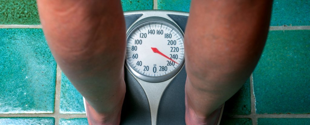 Para abordar nuestra crisis de obesidad, los expertos dicen que todo lo que hacemos debe cambiar: Sciencealert
