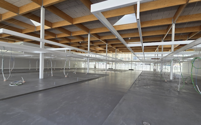 Movimiento del mercado municipal – Noticias de la Gaceta Tropical Costa