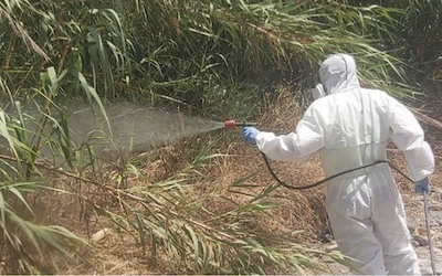 Rociando contra plagas de mosquitos – Costa Tropical Gazette News