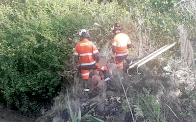 Cuerpo de hombre desaparecido encontrado