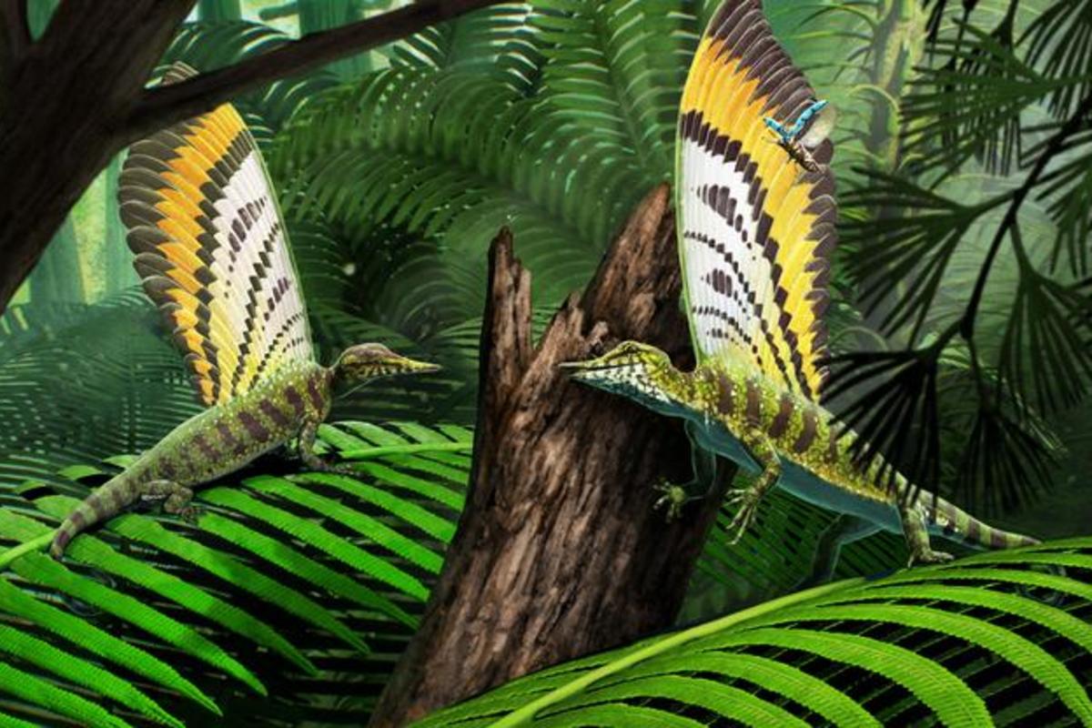 Este reptil lucía estructuras extrañas en forma de plumas hace unos 247 millones de años