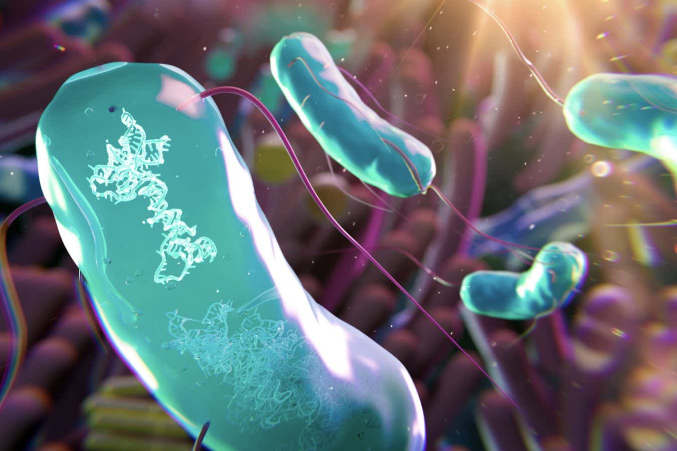 Los microbios genéticamente a medida podrían ajustar nuestros microbiomas