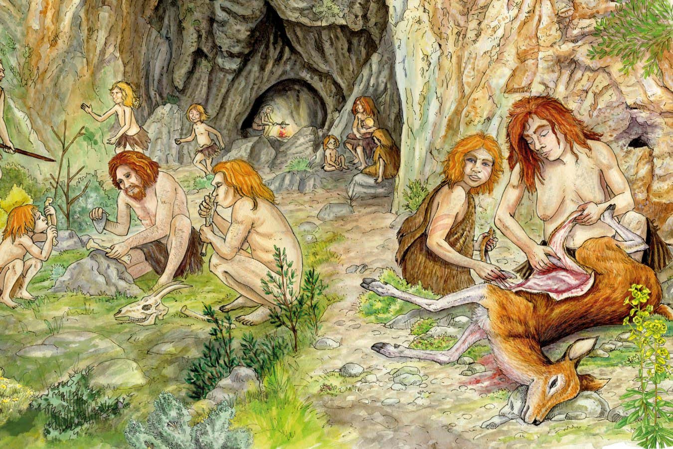 Los grupos neandertales tenían su propia cultura alimentaria local