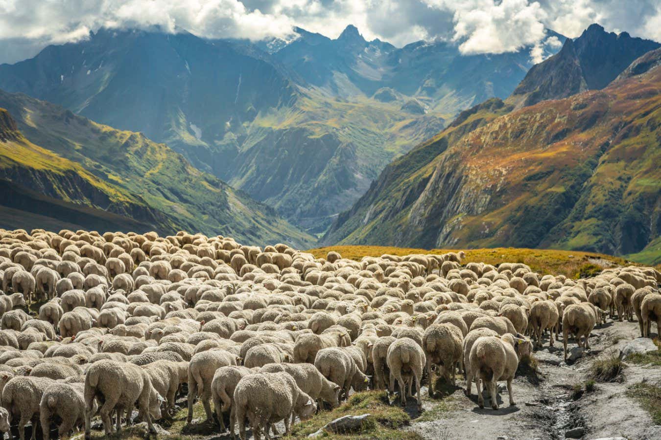 La ganadería y la agricultura han erosionado casi todo el suelo en los Alpes
