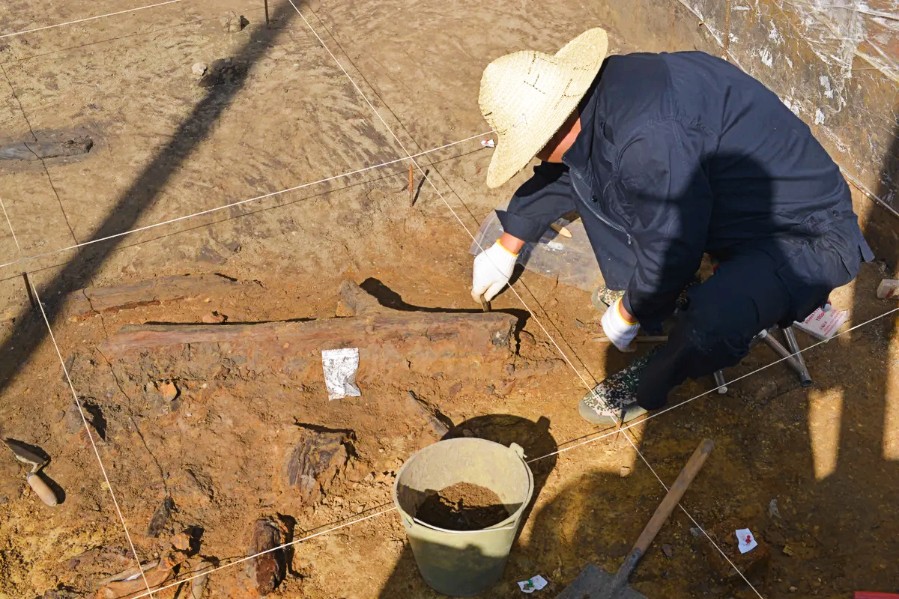 Las antiguas herramientas de madera desenterradas en China reescriben los orígenes de las dietas humanas: hace 300,000 años