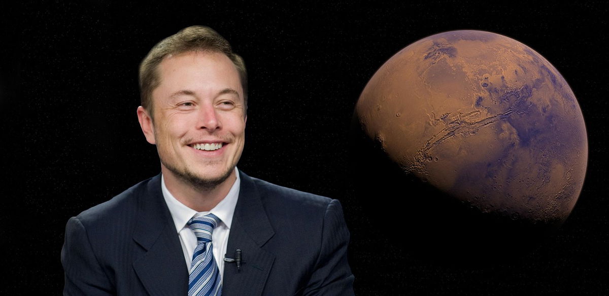 Musk ingresa a la arena política con el nuevo ‘America Party’ «Euro Weekly News