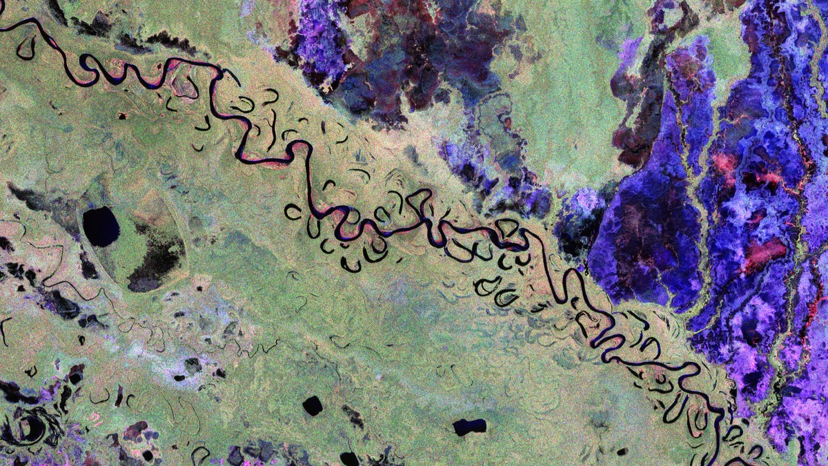 Vea los bosques de la Tierra como nunca antes en las primeras imágenes del satélite de biomasa
