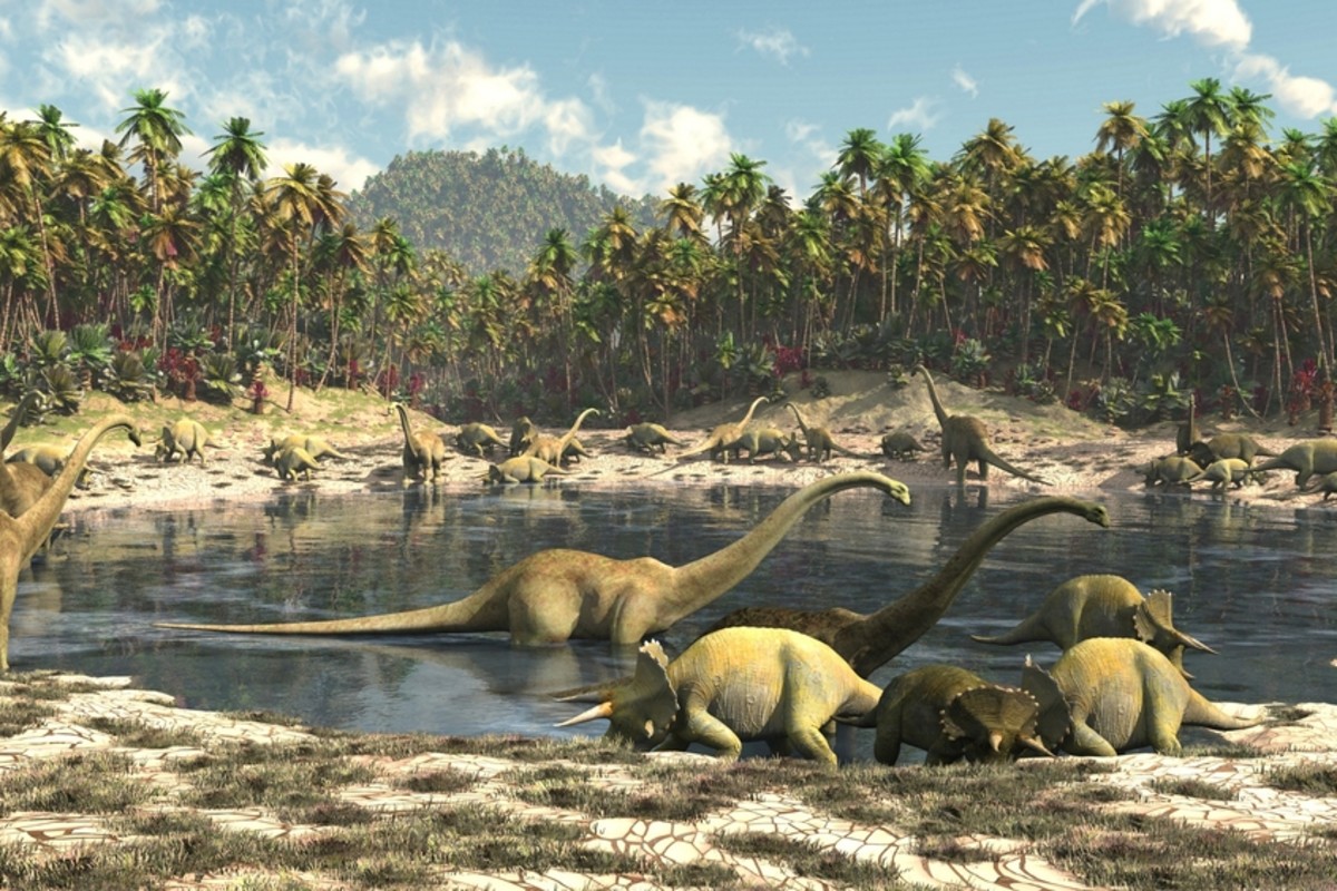 Los dientes fosilizados ofrecen pistas sobre las comidas favoritas de los dinosaurios hace unos 150 millones de años