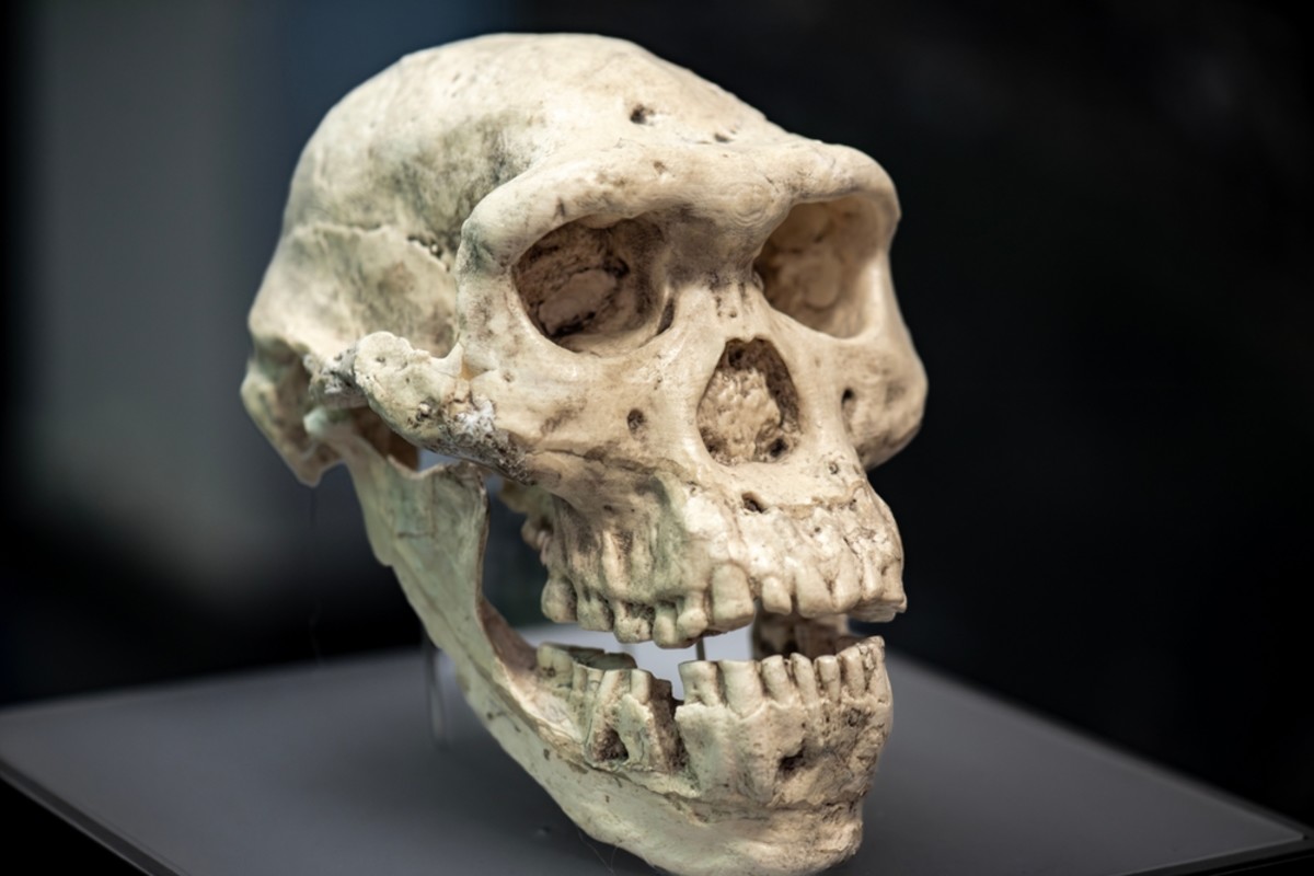 Homo juluensis puede ser parte de un nuevo grupo de humanos antiguos