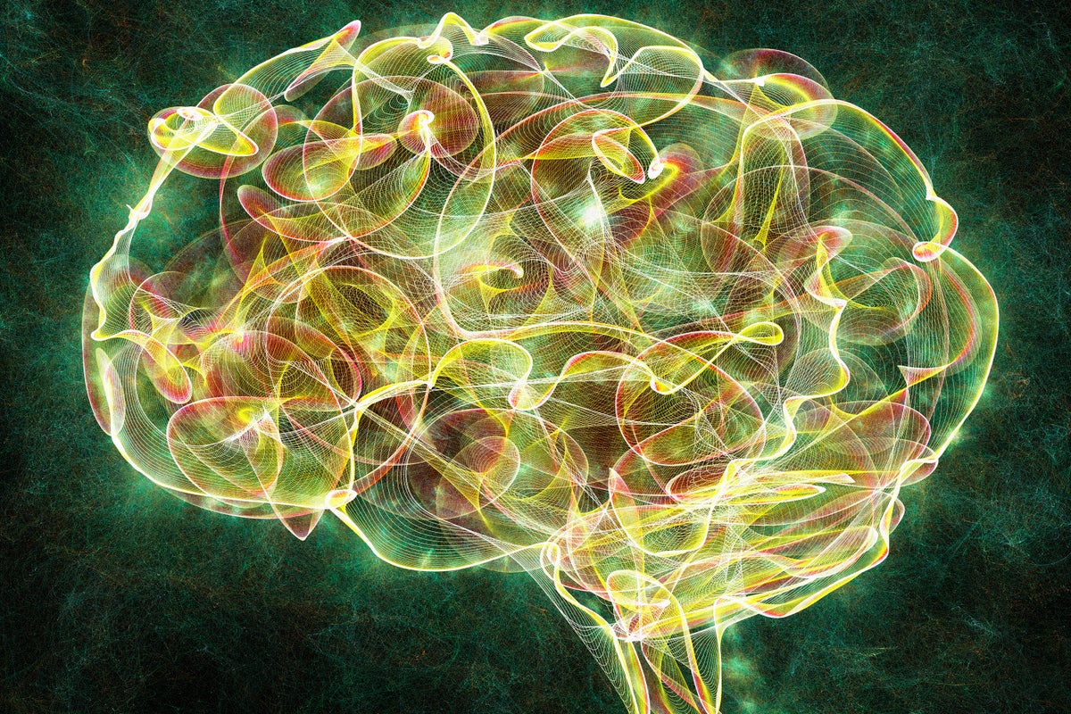 El riesgo de adicción aparece en los escaneos cerebrales de los niños antes de que comience el consumo de drogas