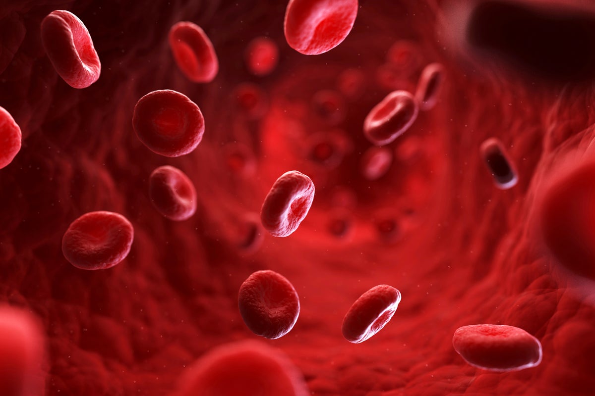 Los médicos descubren un nuevo tipo de sangre, y solo una persona lo tiene