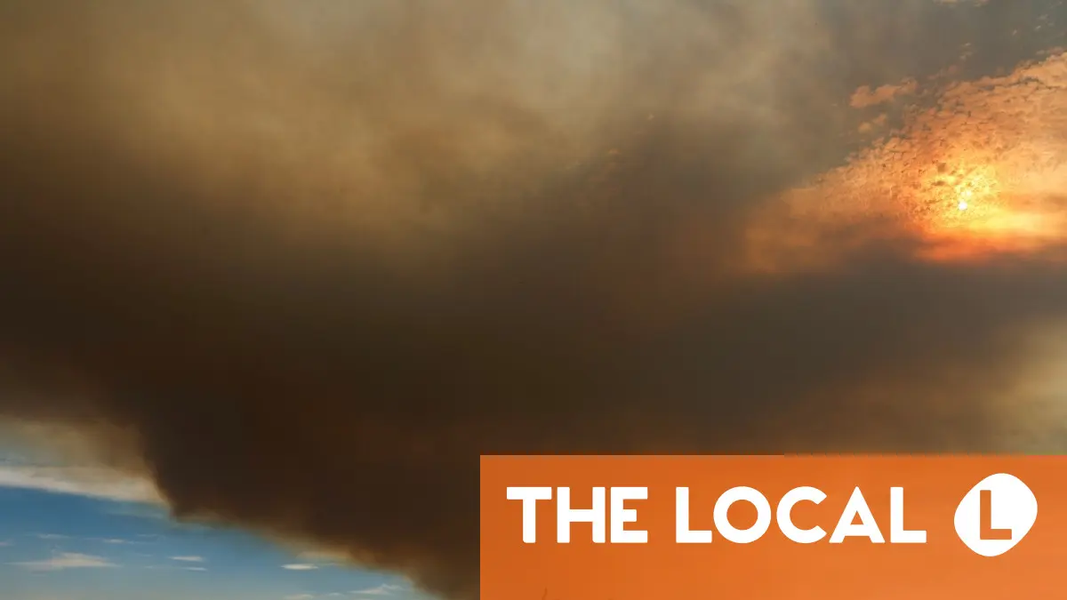Por qué la primavera lluviosa de España está llevando a más incendios forestales este verano
