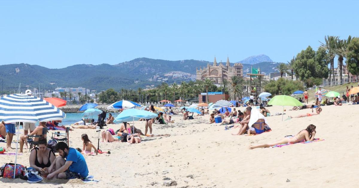 Mallorca Weather para el jueves 7 de agosto – Alertas de ceniza, humo y calor