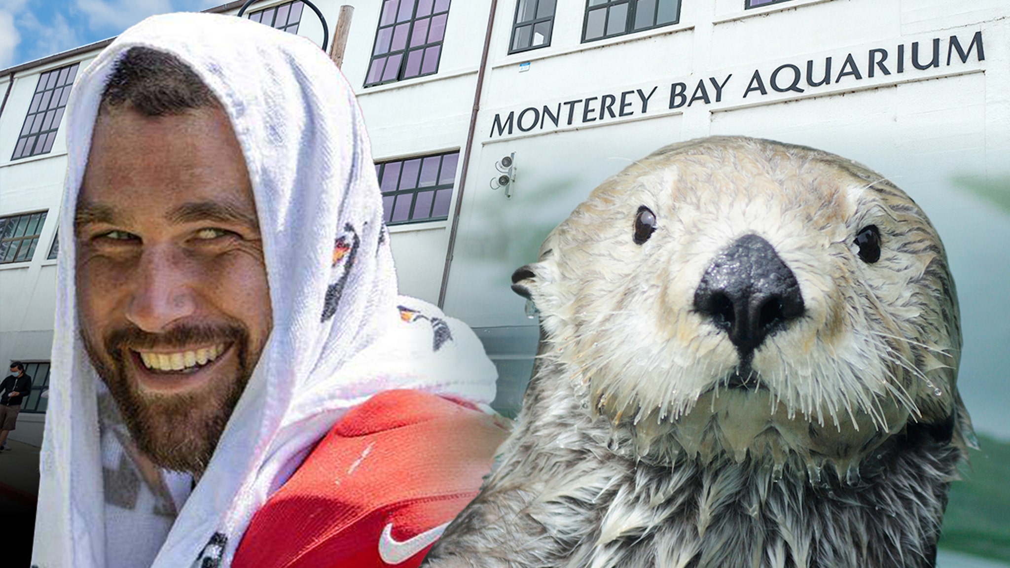 Travis Kelce recibe la famosa invitación del acuario después de la confesión de amor de la nutria marina.
