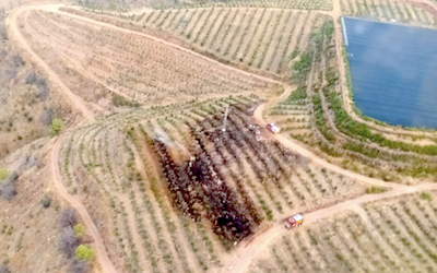Pequeño fuego de Almuñécar Hill – Noticias de la Gaceta Tropical Costa