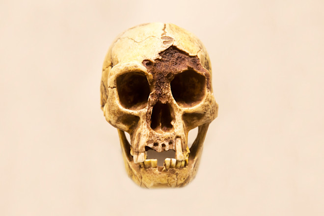 Hominins se mudó al vecindario de los humanos Hobbit hace unos 1.04 millones de años