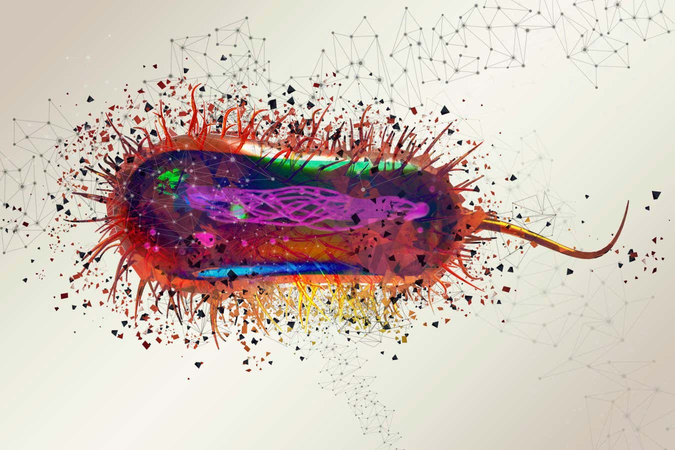 El genoma de E. coli se ha rehecho con 101,000 cambios en su ADN