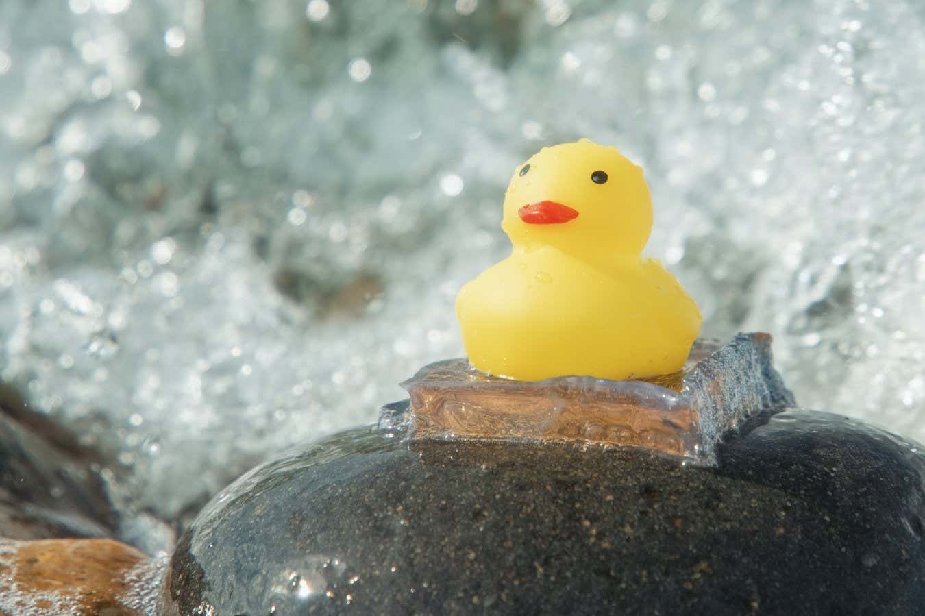 Hydrogel súper pegajoso es 10 veces más fuerte que otros pegamentos bajo el agua