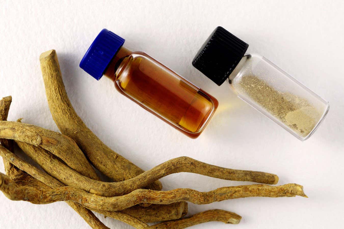 La droga psicodélica ibogaína puede tratar el TEPT desacelerando las ondas cerebrales