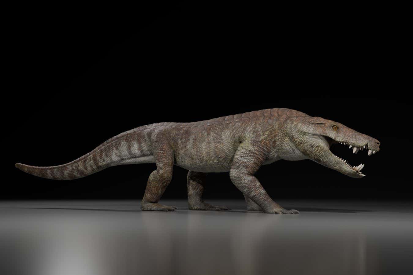 El pariente de cocodrilo antiguo podría haber desgarrado dinosaurios