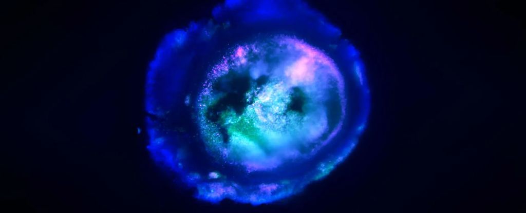 Esta increíble gota es increíblemente similar al cerebro humano: Sciencealert